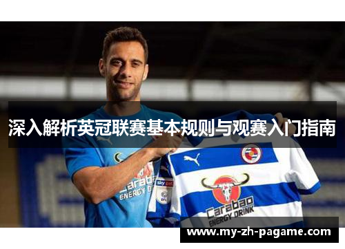 深入解析英冠联赛基本规则与观赛入门指南