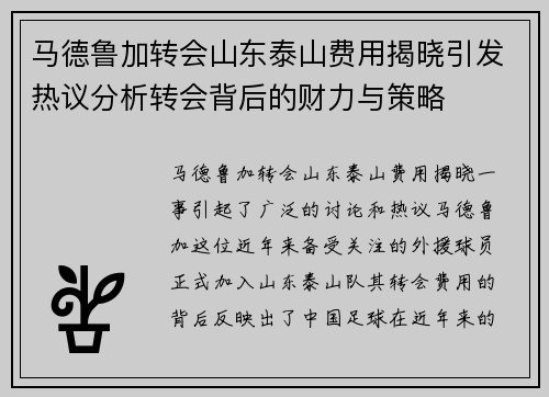 马德鲁加转会山东泰山费用揭晓引发热议分析转会背后的财力与策略